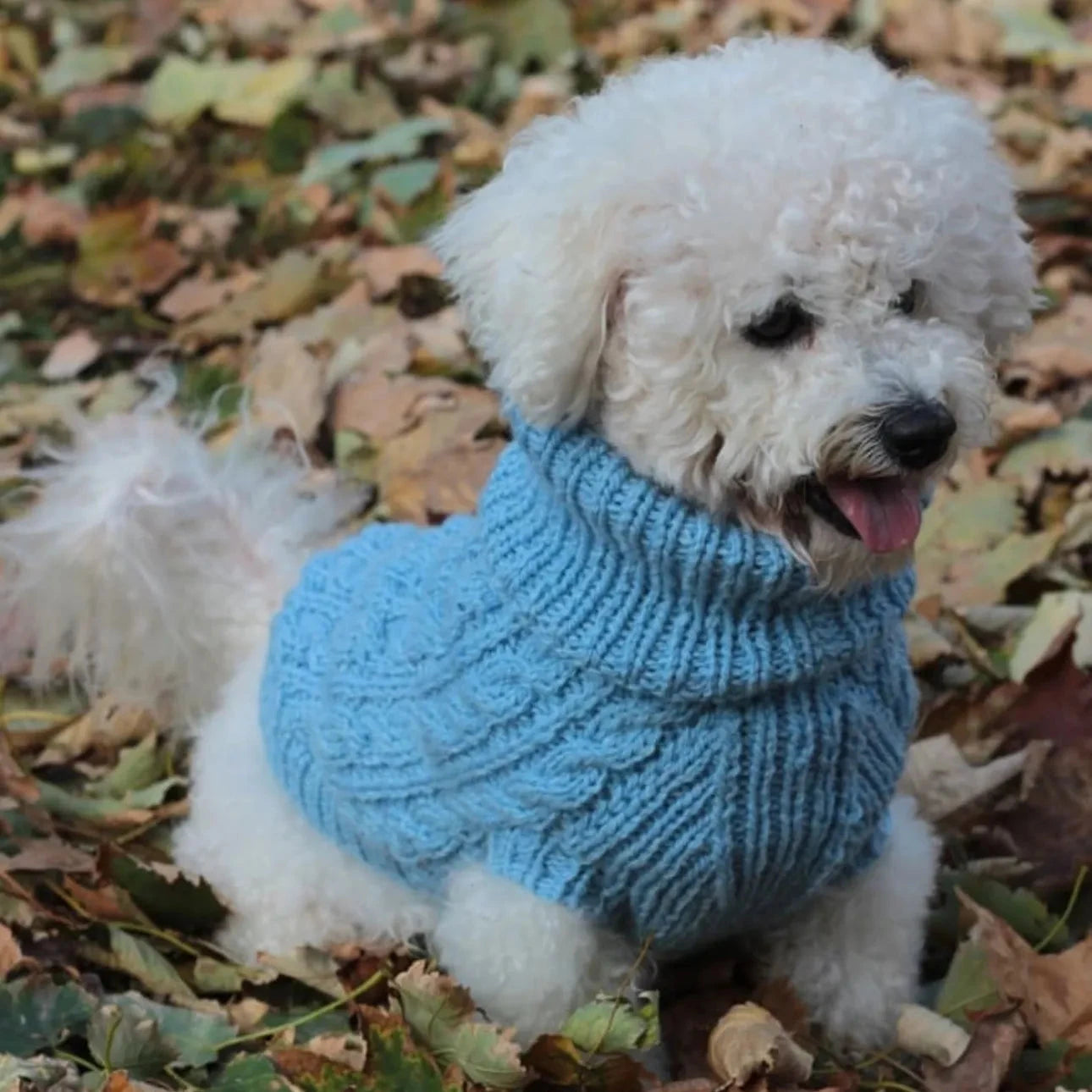 Džemperi Za Pse Klupko San