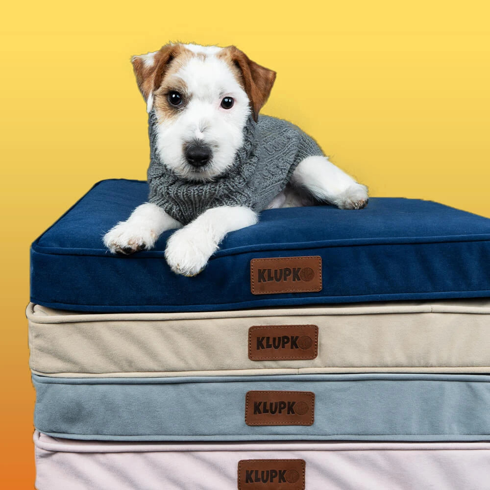 MEMORI® Kreveti za Male Pse Klupko Pet